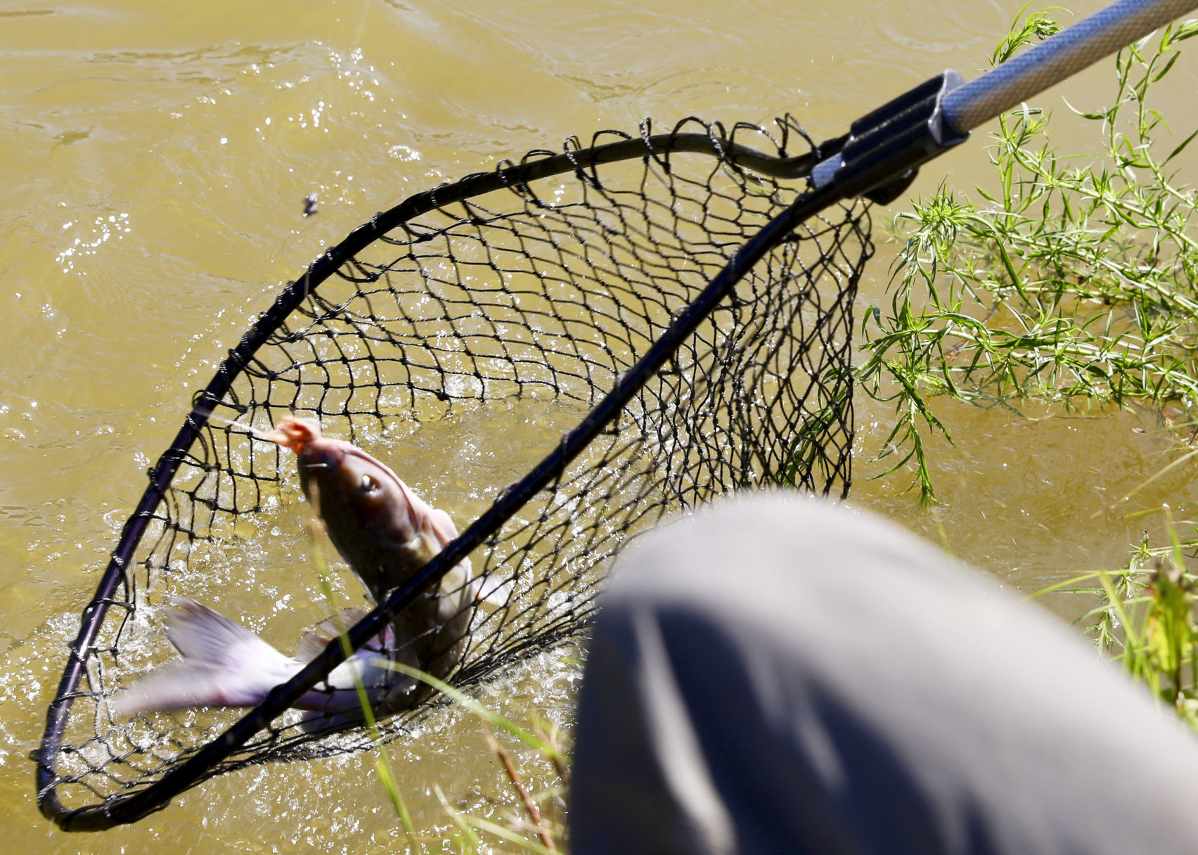Community Fishing Day